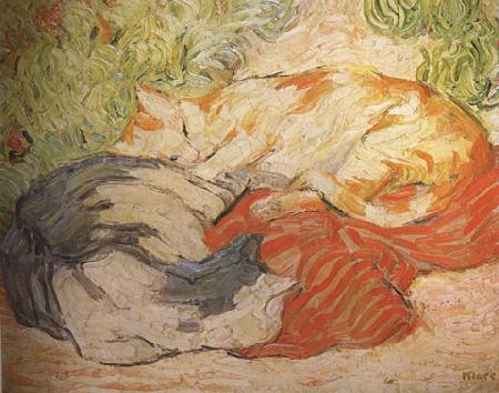 Franz Marc cats (mk34) oil painting picture
